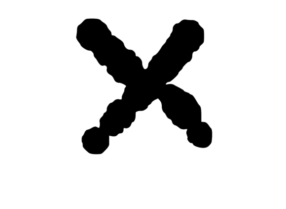 Ink Blot Stain Mono Letter X Review