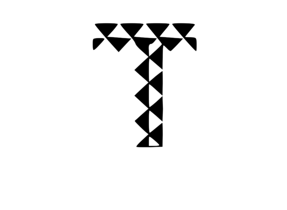 Playful Geometric Pattern Mono T Review